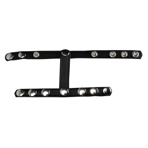 Strict Snap On Cock And Ball Harness