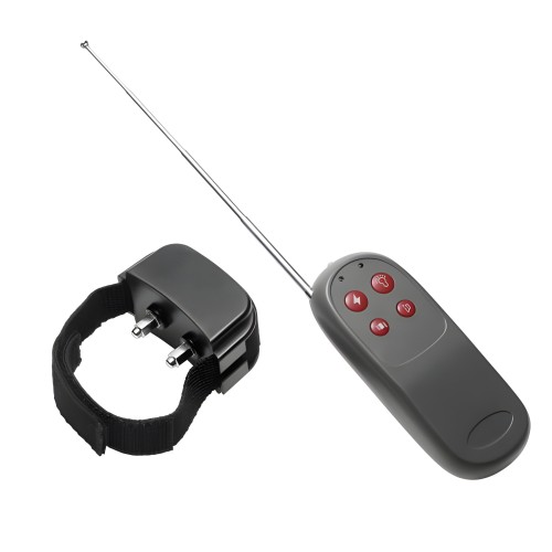 C*ck Shock Remote CBT Electric Ring