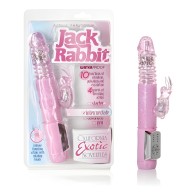 Petite Thrusting Jack Rabbit for Intense Pleasure