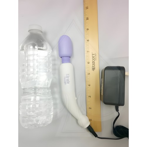 Mini Miracle Massager 2 Speed