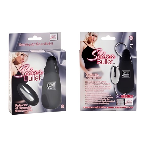Vibrador Silver Bullet de Swedish Erotica