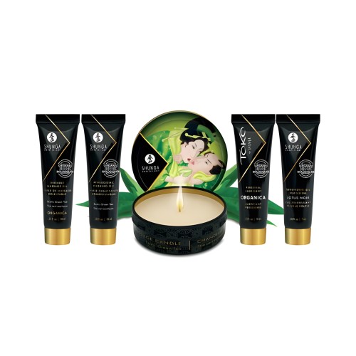 Kit Secreto de Geisha - Té Verde Exótico Organico