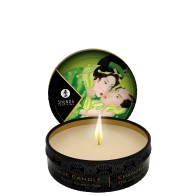 Geisha's Secret Kit - Organica Exotic Green Tea