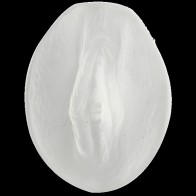 Palm Pal UR3 Pussy Clear - Realistic Masturbator