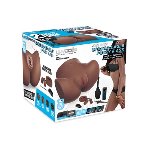 Ld Remote Spread Eagle Pussy And Ass Mocha