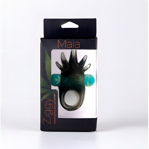 Ziggy Rechargeable Vibrating Erection Enhancer