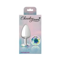 Cheeky Charms Large Silver Anal Plug