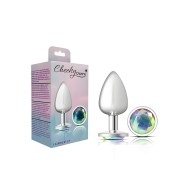 Cheeky Charms Large Silver Anal Plug