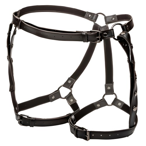 Euphoria Coll Riding Thigh Harness