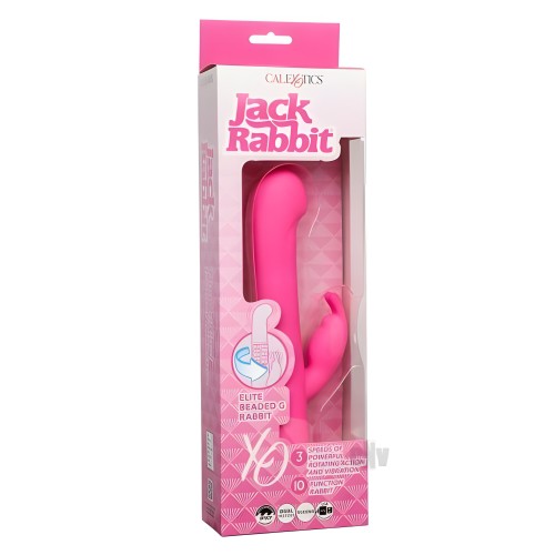 Conejito G Beaded Elite Jack Rabbit