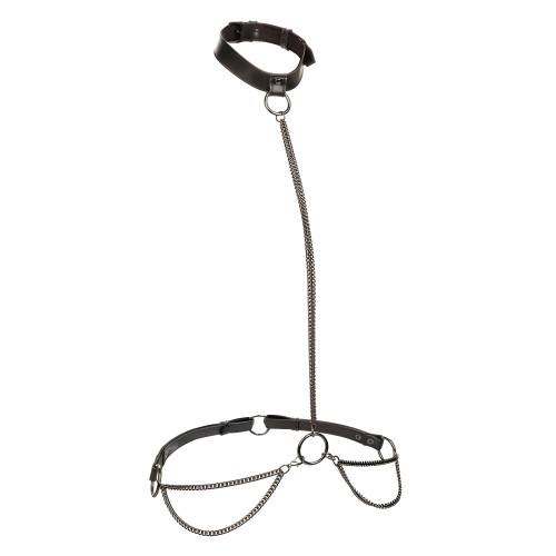 Euphoria Chain Halter Collar & Leash - Plus Size