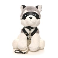 Max el perro fetiche