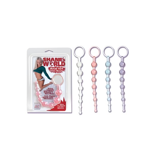 Perlas Introductorias Anal 101 de Shane - Amigable para Principiantes