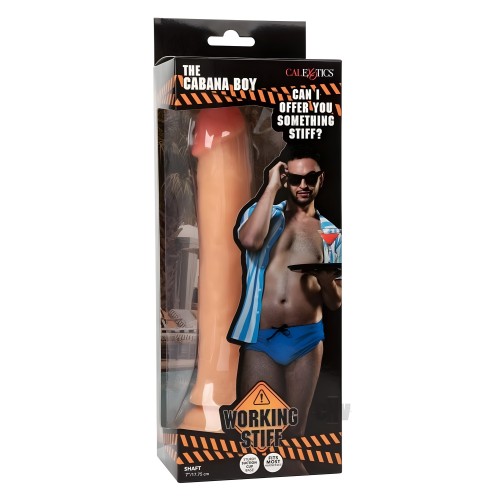 Working Stiff The Cabana Boy