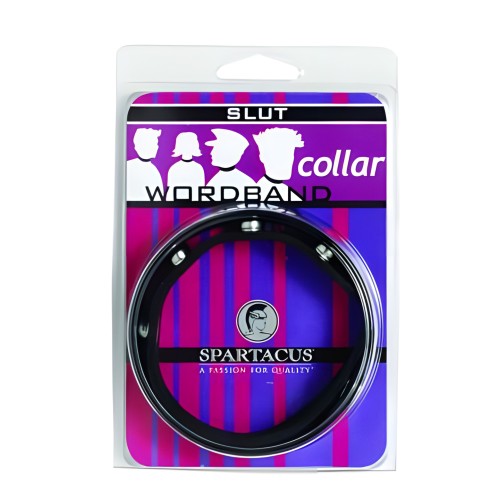 Small Leather Collar (slut)