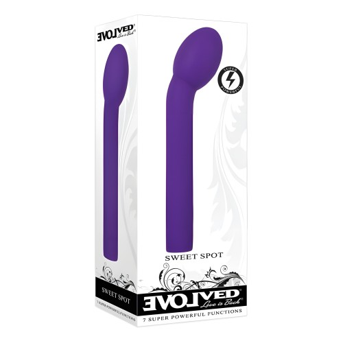 Evolved Sweet Spot Rechargeable Silicone