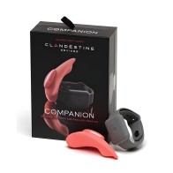 The Companion Remote Control Panty Vibe