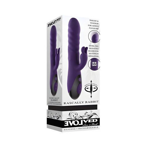 Evolved Rascally Rabbit Purple - Rabbit Vibrators