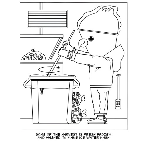 A Visit To The Cannabis Farm Coloring Book