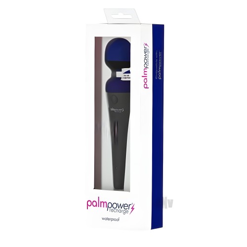 Palmpower Recharge Massager Blue