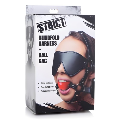 Blindfold Harness And Ball Gag