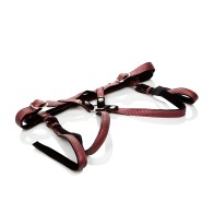 Her Royal Harness Regal Duchess - Red