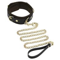Spartacus Collar & Leash Brown Leather Gold Accent