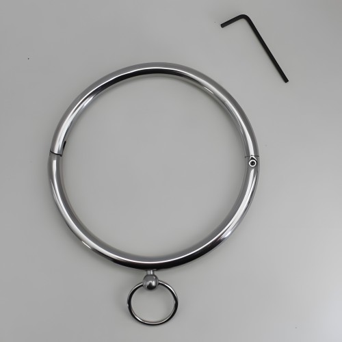 Rouge Stainless Steel Ring Collar - Secure Restraint