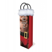 Santa Has A Big Package For You Gift Bag