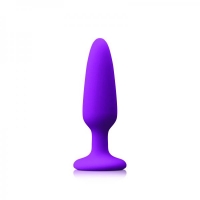 Colours Pleasures Small Plug Purple