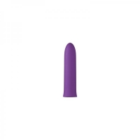 Lush Violet Purple Vibrator