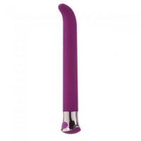 Risque G 10 Function Purple Vibrator