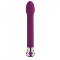 10 Function Risque Tulip Vibrator Purple