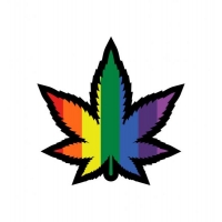 Rainbow Marijuana Leaf Pin (net)